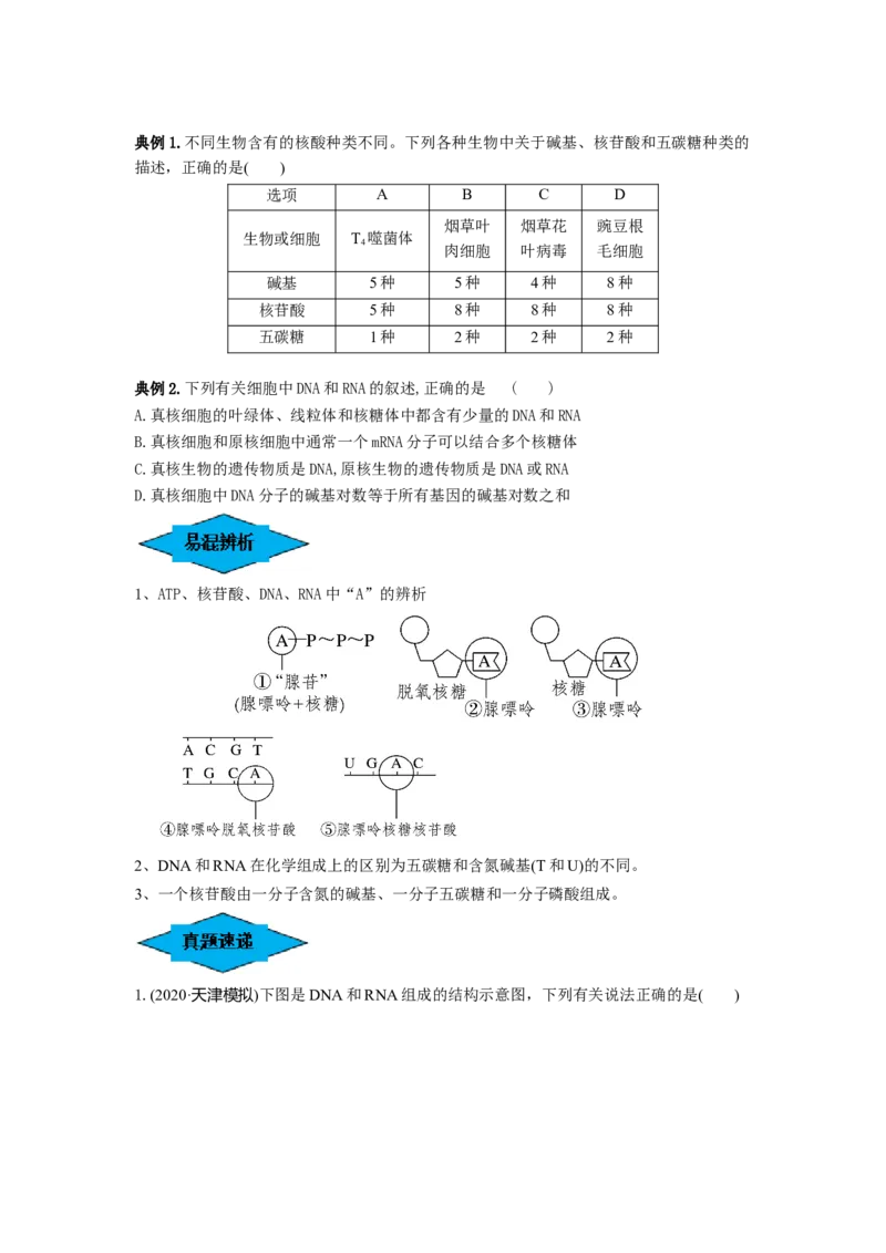 专题03蛋白质和核酸（串讲）（原卷版）_2024年新高考资料_1.2024一轮复习_备战2024年高考生物一轮复习串讲精练（新高考专用）