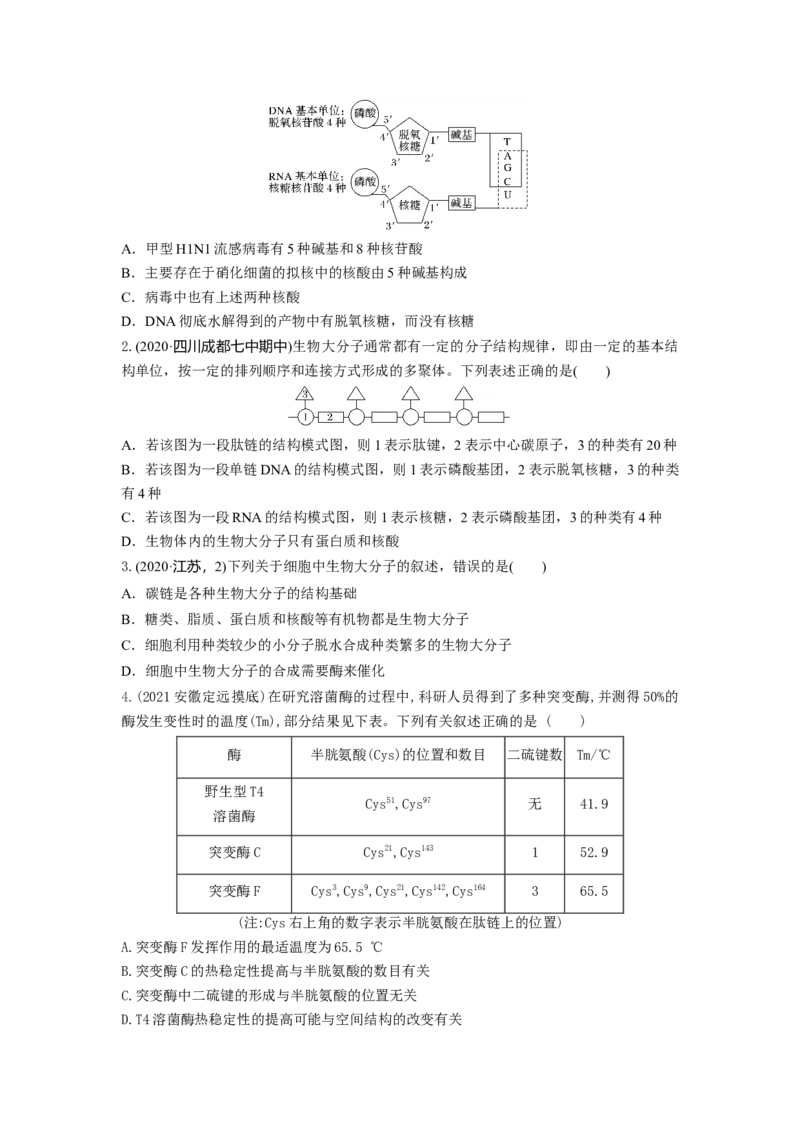 专题03蛋白质和核酸（串讲）（原卷版）_2024年新高考资料_1.2024一轮复习_备战2024年高考生物一轮复习串讲精练（新高考专用）