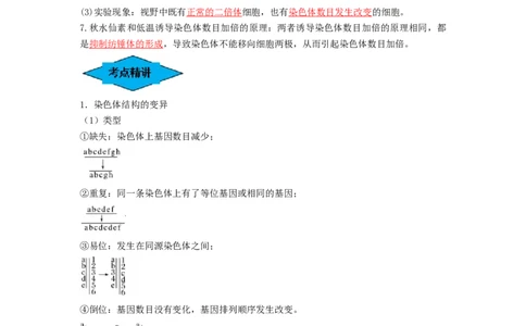 专题21染色体变异与育种（串讲）（解析版）_2024年新高考资料_1.2024一轮复习_备战2024年高考生物一轮复习串讲精练（新高考专用）