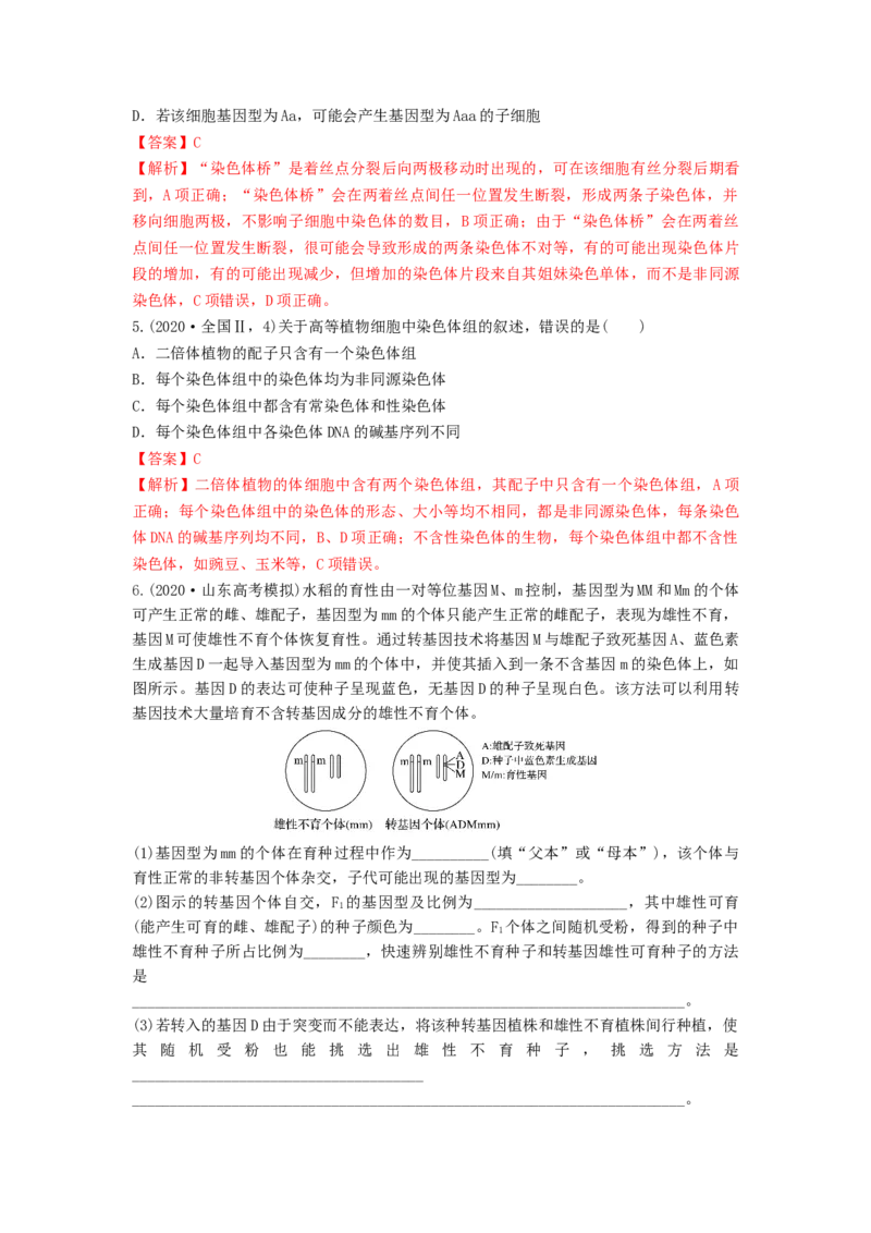 专题21染色体变异与育种（串讲）（解析版）_2024年新高考资料_1.2024一轮复习_备战2024年高考生物一轮复习串讲精练（新高考专用）