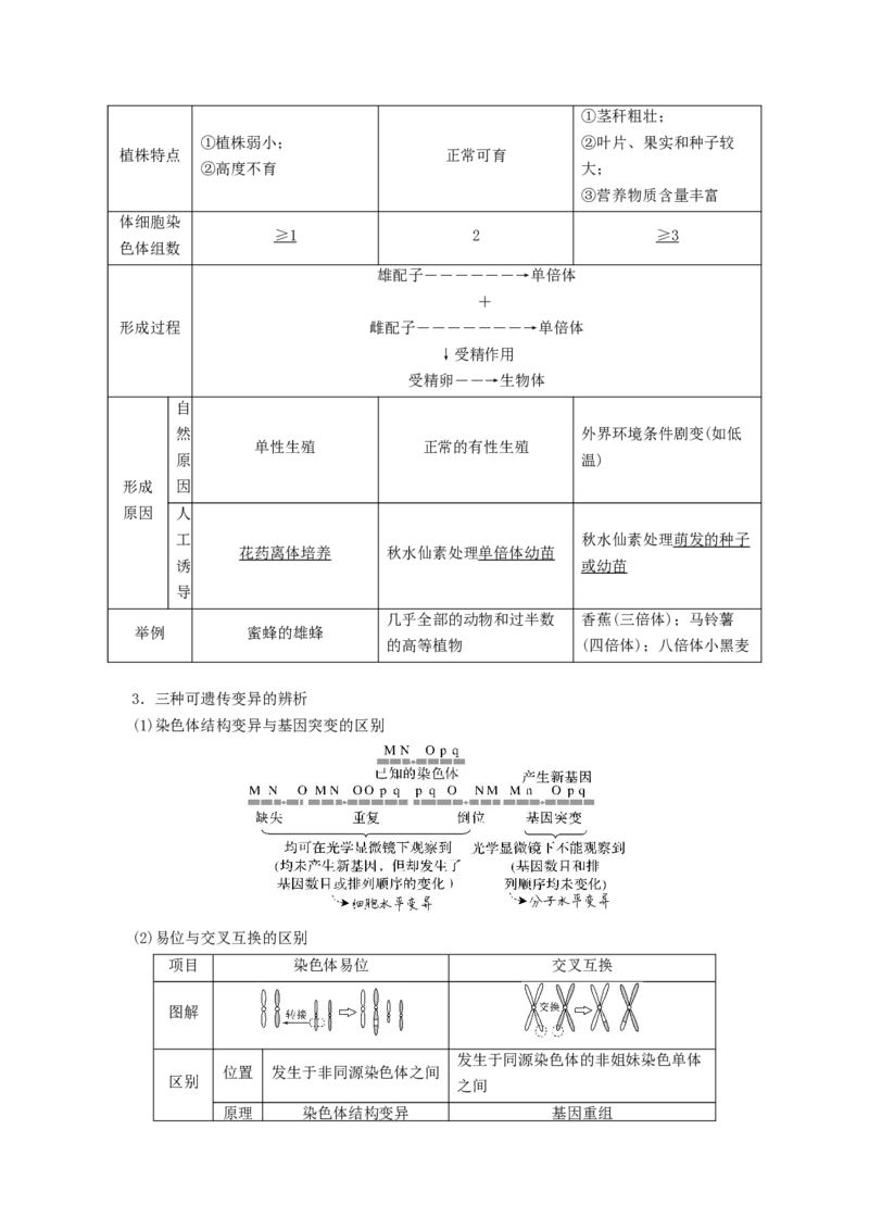 专题21染色体变异与育种（串讲）（解析版）_2024年新高考资料_1.2024一轮复习_备战2024年高考生物一轮复习串讲精练（新高考专用）
