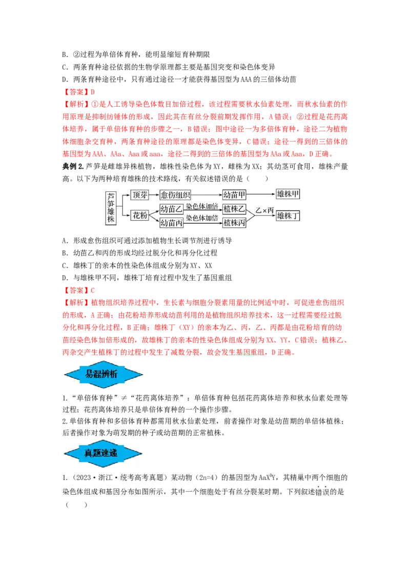 专题21染色体变异与育种（串讲）（解析版）_2024年新高考资料_1.2024一轮复习_备战2024年高考生物一轮复习串讲精练（新高考专用）
