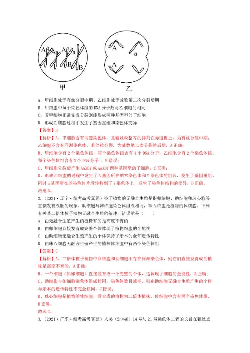 专题21染色体变异与育种（串讲）（解析版）_2024年新高考资料_1.2024一轮复习_备战2024年高考生物一轮复习串讲精练（新高考专用）