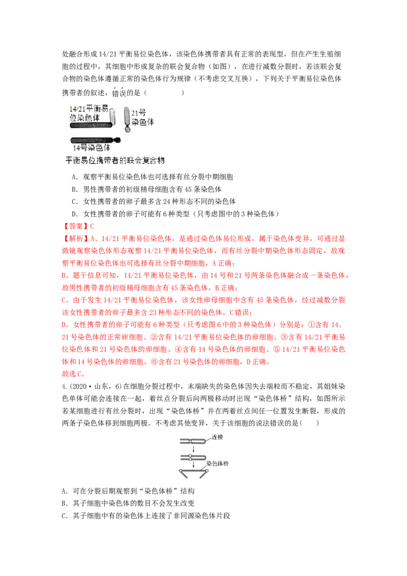 专题21染色体变异与育种（串讲）（解析版）_2024年新高考资料_1.2024一轮复习_备战2024年高考生物一轮复习串讲精练（新高考专用）