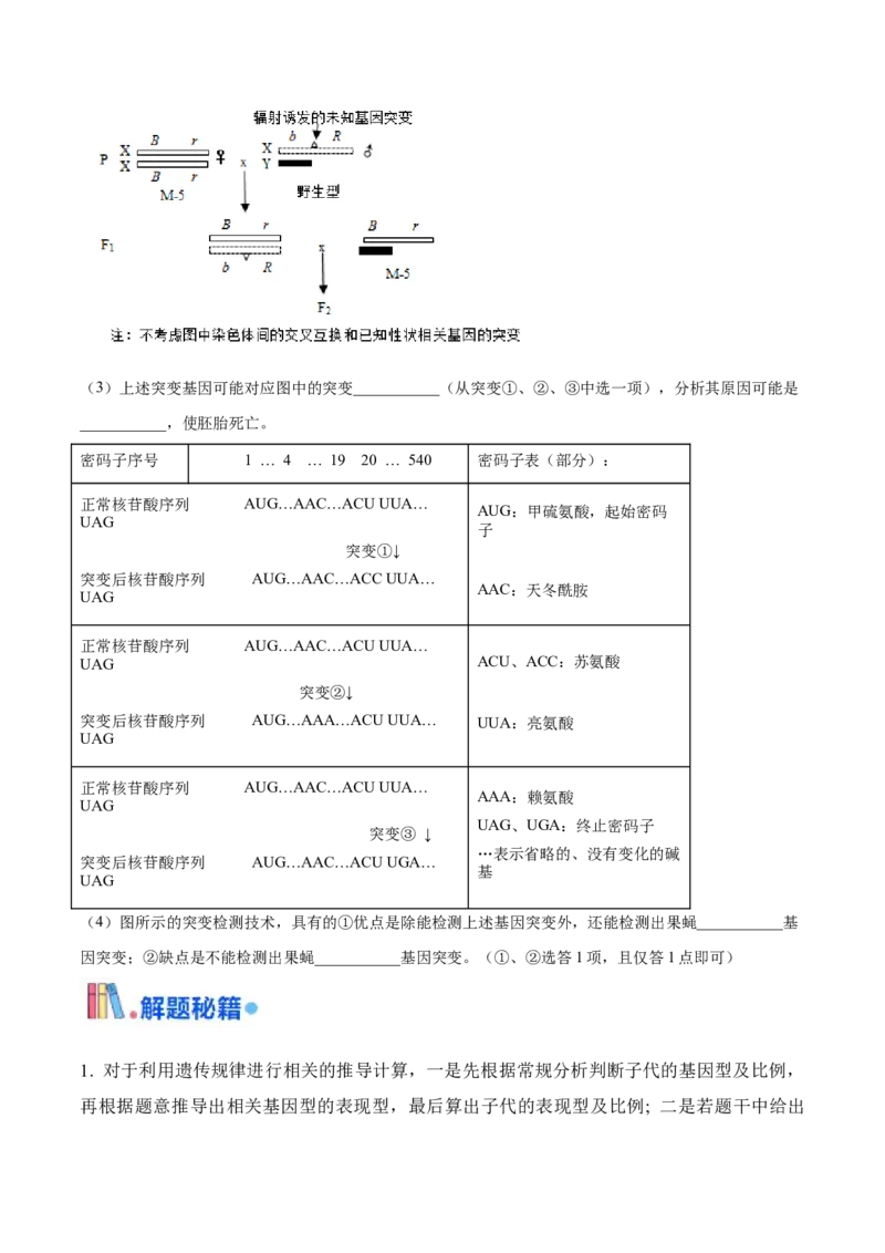 押广东卷第21题遗传规律的应用（原卷版）_2024年新高考资料_5.2024三轮冲刺_备战2024年高考生物临考题号押题（广东专用）323137816