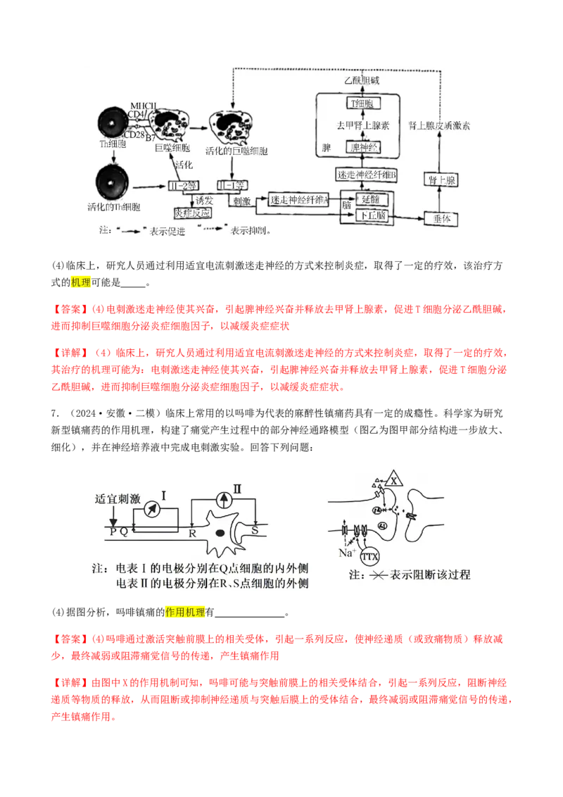 抢分12非选择题冲刺篇（教师版）_2024年新高考资料_5.2024三轮冲刺_备战2024年高考生物抢分秘籍（新高考专用）321842314