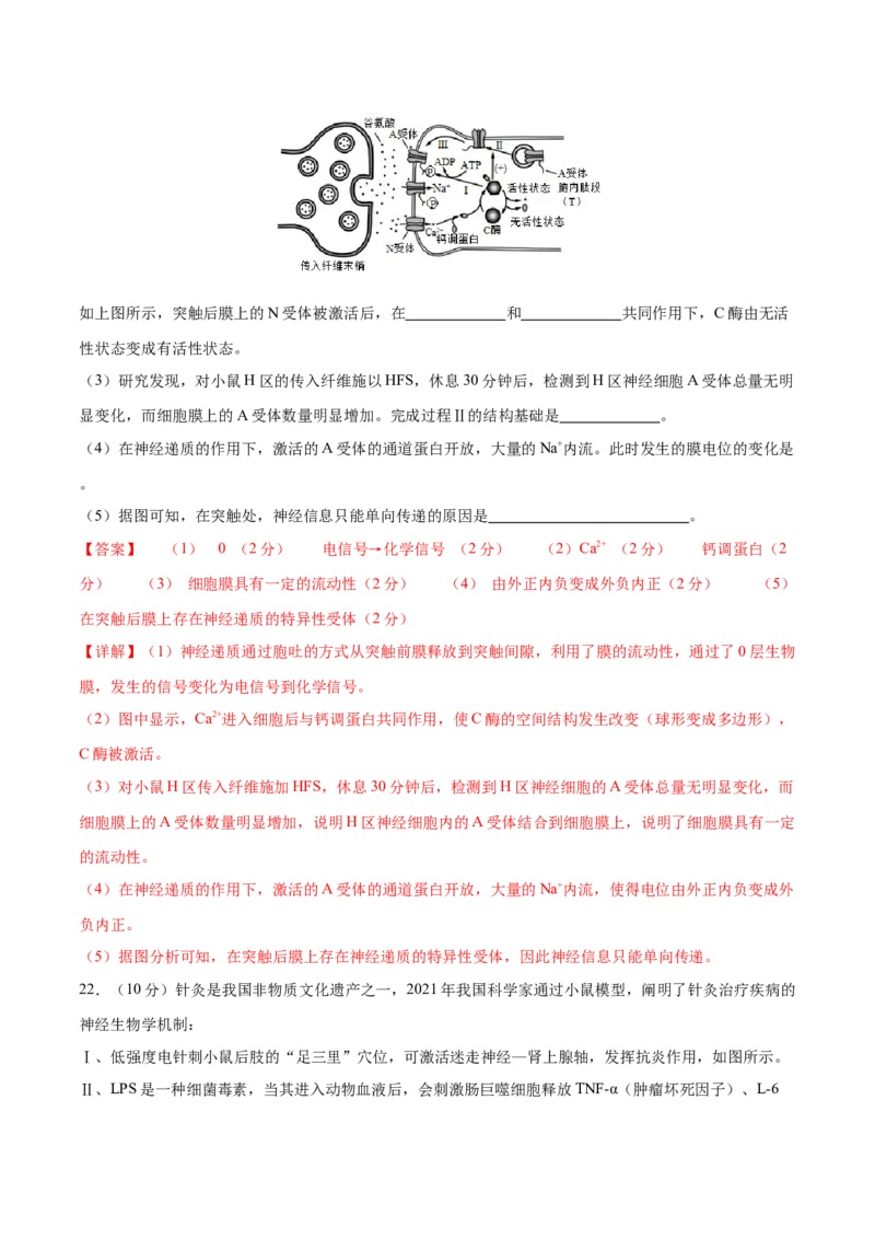 专题六稳态与调节（测试）（解析版）_2024年新高考资料_2.2024二轮复习_2024年高考生物二轮复习讲练测（新教材新高考）