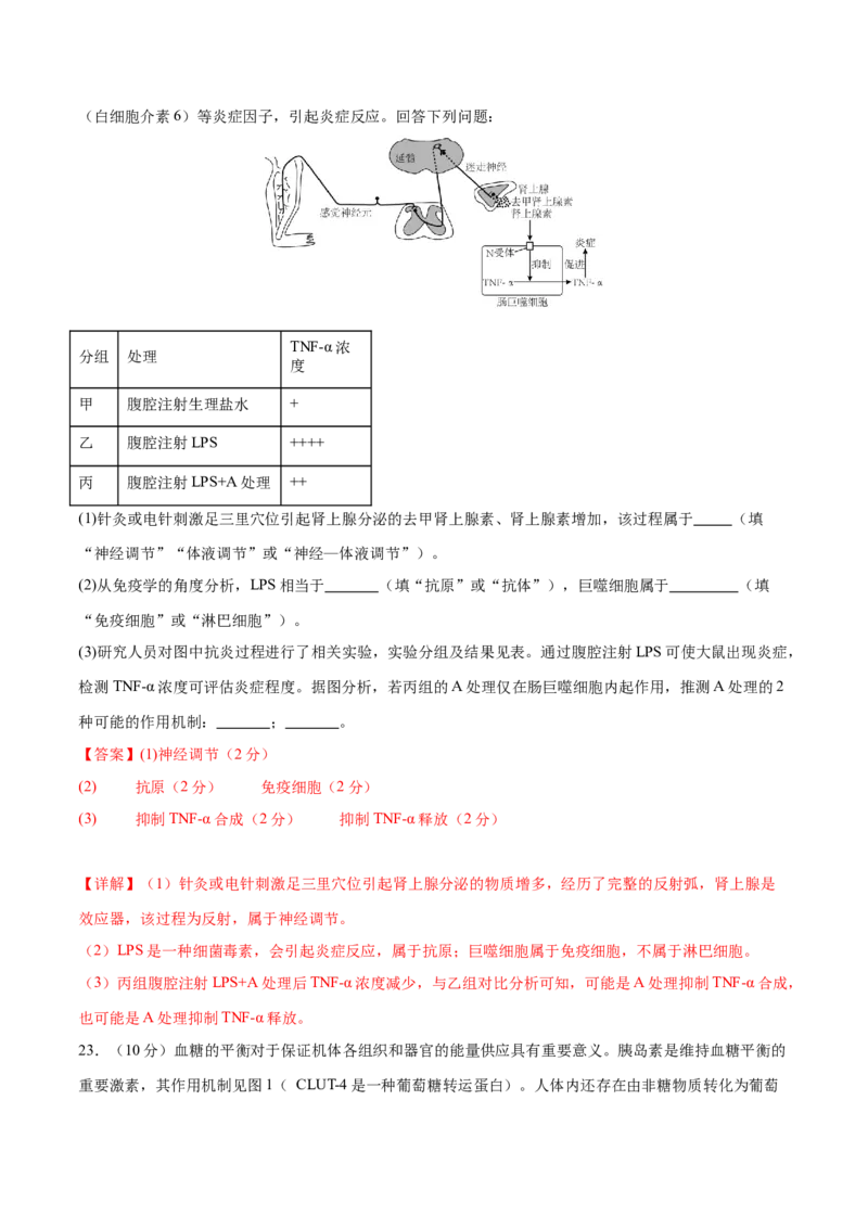 专题六稳态与调节（测试）（解析版）_2024年新高考资料_2.2024二轮复习_2024年高考生物二轮复习讲练测（新教材新高考）
