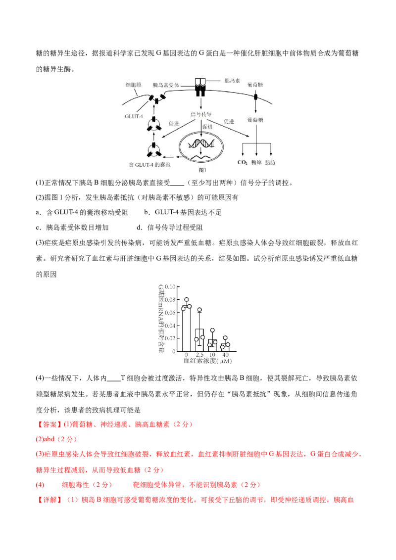 专题六稳态与调节（测试）（解析版）_2024年新高考资料_2.2024二轮复习_2024年高考生物二轮复习讲练测（新教材新高考）