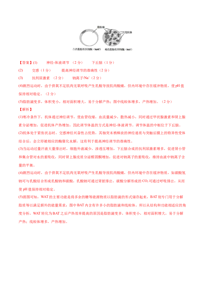 专题六稳态与调节（测试）（解析版）_2024年新高考资料_2.2024二轮复习_2024年高考生物二轮复习讲练测（新教材新高考）