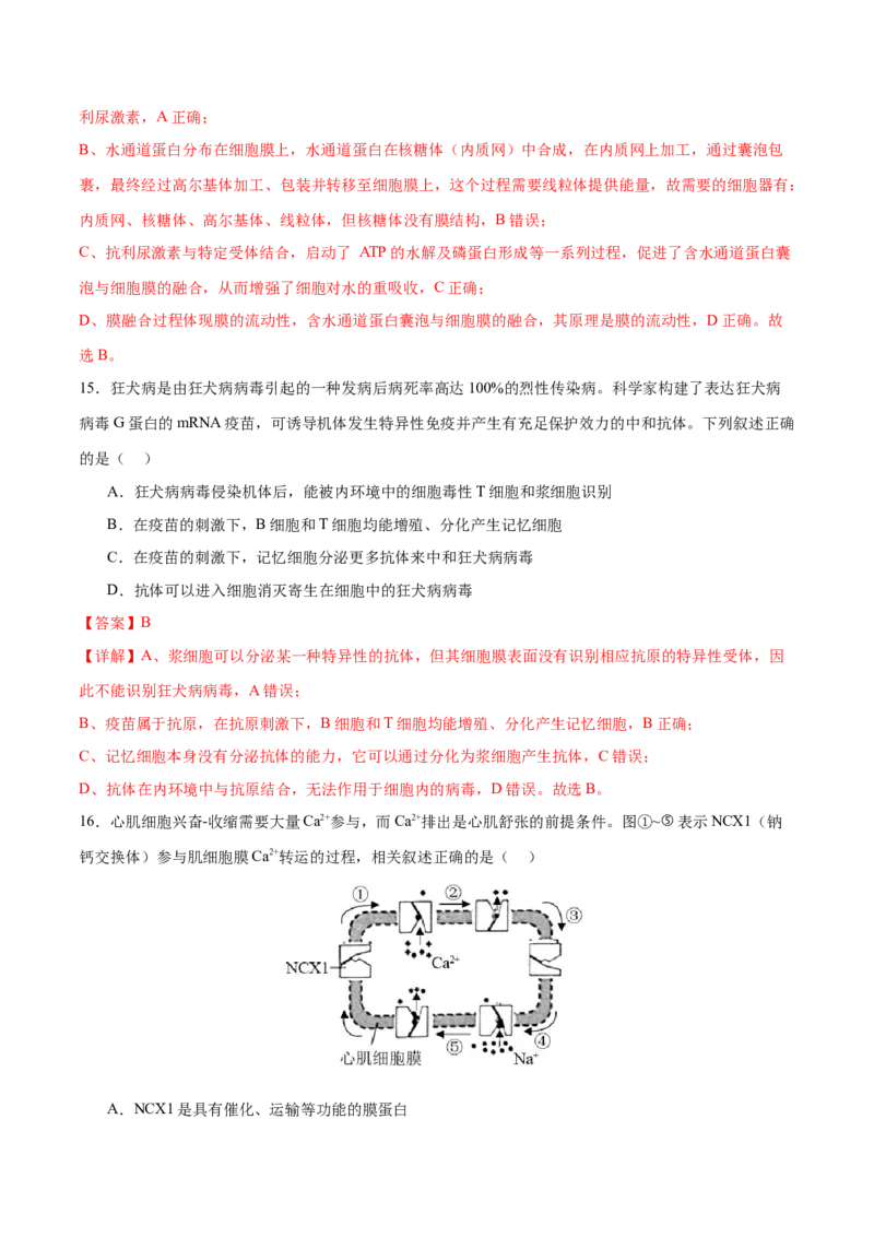 专题六稳态与调节（测试）（解析版）_2024年新高考资料_2.2024二轮复习_2024年高考生物二轮复习讲练测（新教材新高考）