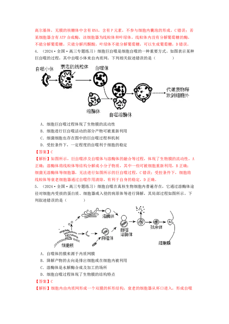 专题06细胞器（解析版）_2024年新高考资料_1.2024一轮复习_备战2024年高考生物一轮复习抢分特训（全国通用）_专题06细胞器-备战2024年高考生物一轮复习抢分特训（全国通用）