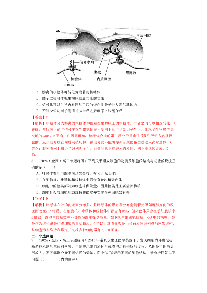 专题06细胞器（解析版）_2024年新高考资料_1.2024一轮复习_备战2024年高考生物一轮复习抢分特训（全国通用）_专题06细胞器-备战2024年高考生物一轮复习抢分特训（全国通用）
