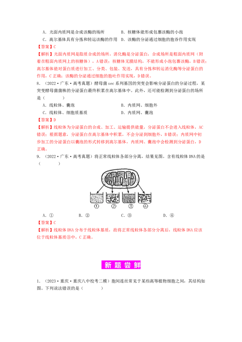 专题06细胞器（解析版）_2024年新高考资料_1.2024一轮复习_备战2024年高考生物一轮复习抢分特训（全国通用）_专题06细胞器-备战2024年高考生物一轮复习抢分特训（全国通用）