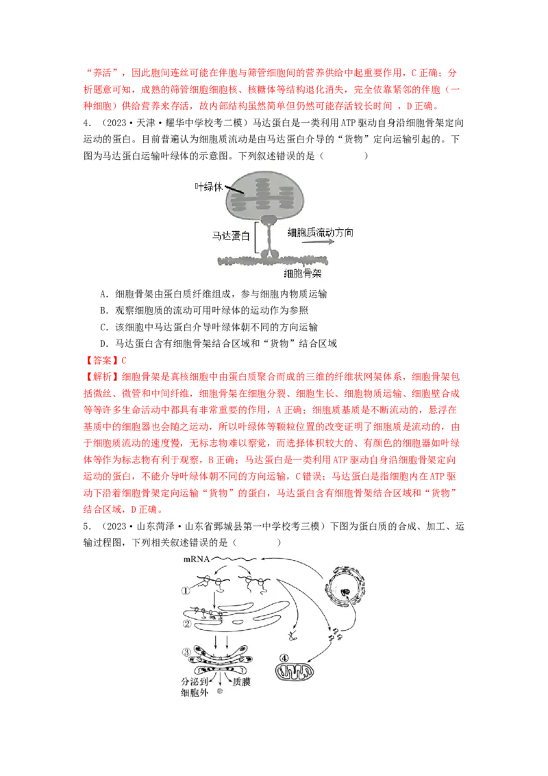 专题06细胞器（解析版）_2024年新高考资料_1.2024一轮复习_备战2024年高考生物一轮复习抢分特训（全国通用）_专题06细胞器-备战2024年高考生物一轮复习抢分特训（全国通用）