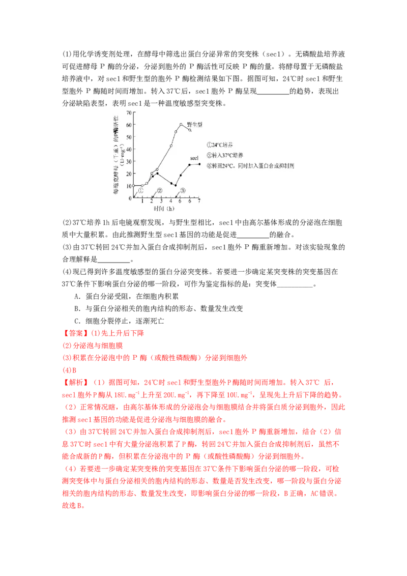 专题06细胞器（解析版）_2024年新高考资料_1.2024一轮复习_备战2024年高考生物一轮复习抢分特训（全国通用）_专题06细胞器-备战2024年高考生物一轮复习抢分特训（全国通用）