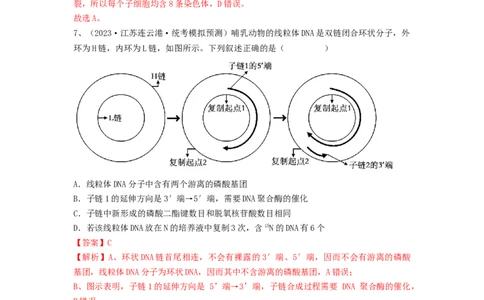 专题18DNA分子的结构、复制及基因的本质（精练）（解析版）_2024年新高考资料_1.2024一轮复习_备战2024年高考生物一轮复习串讲精练（新高考专用）