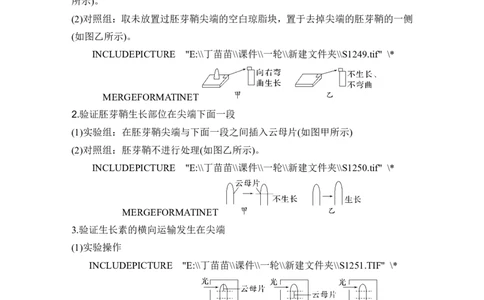 微专题14与植物激素相关的实验设计_2024年新高考资料_1.2024一轮复习_2024年高考生物一轮复习讲义（新人教版）_另附1套Word版题库_选择性必修1_第八单元稳态与调节