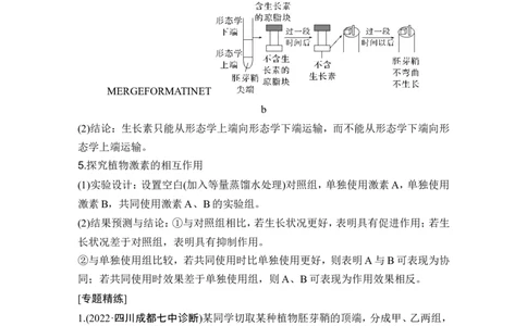 微专题14与植物激素相关的实验设计_2024年新高考资料_1.2024一轮复习_2024年高考生物一轮复习讲义（新人教版）_另附1套Word版题库_选择性必修1_第八单元稳态与调节