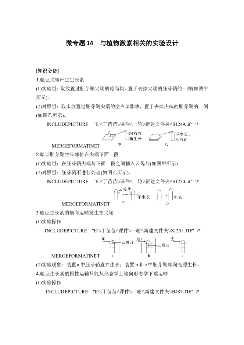 微专题14与植物激素相关的实验设计_2024年新高考资料_1.2024一轮复习_2024年高考生物一轮复习讲义（新人教版）_另附1套Word版题库_选择性必修1_第八单元稳态与调节