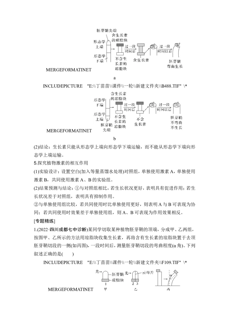 微专题14与植物激素相关的实验设计_2024年新高考资料_1.2024一轮复习_2024年高考生物一轮复习讲义（新人教版）_另附1套Word版题库_选择性必修1_第八单元稳态与调节