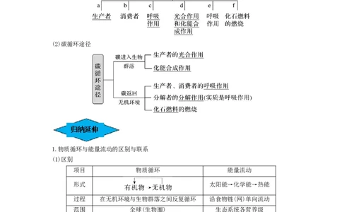 专题31生态系统的物质循环、信息传递及其稳定性（串讲）（原卷版）_2024年新高考资料_1.2024一轮复习_备战2024年高考生物一轮复习串讲精练（新高考专用）