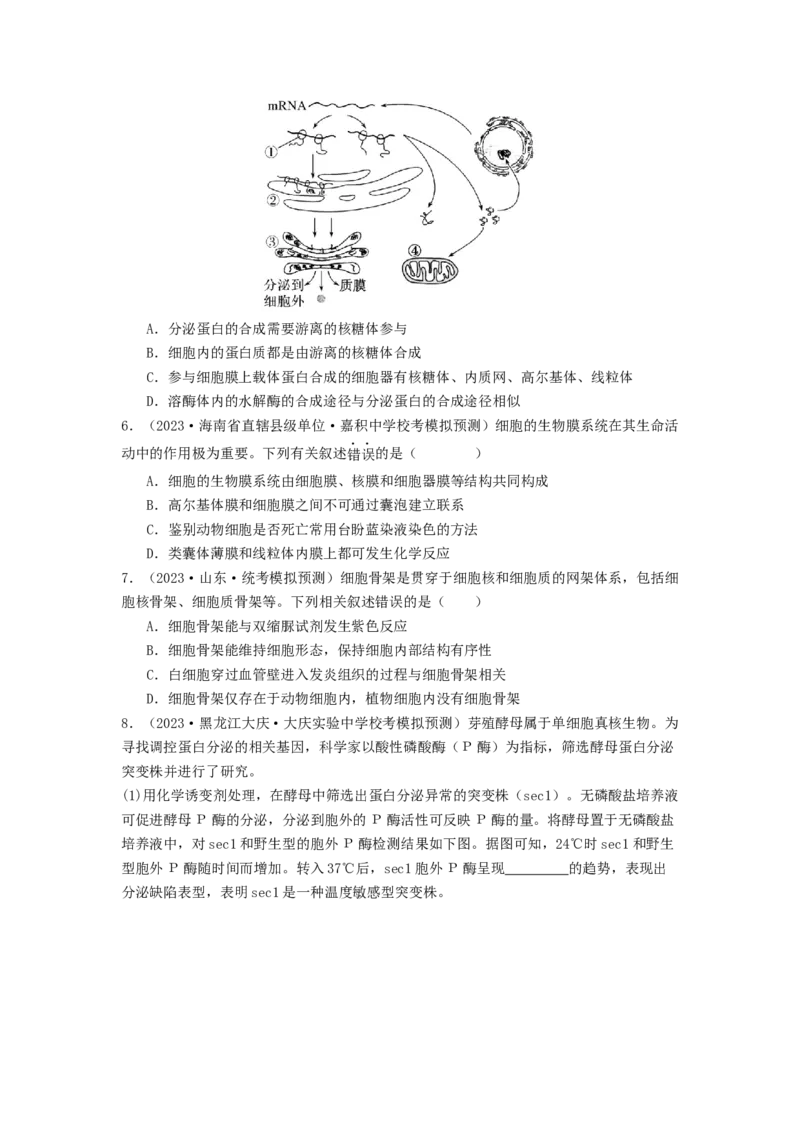 专题06细胞器（原卷版）_2024年新高考资料_1.2024一轮复习_备战2024年高考生物一轮复习抢分特训（全国通用）_专题06细胞器-备战2024年高考生物一轮复习抢分特训（全国通用）