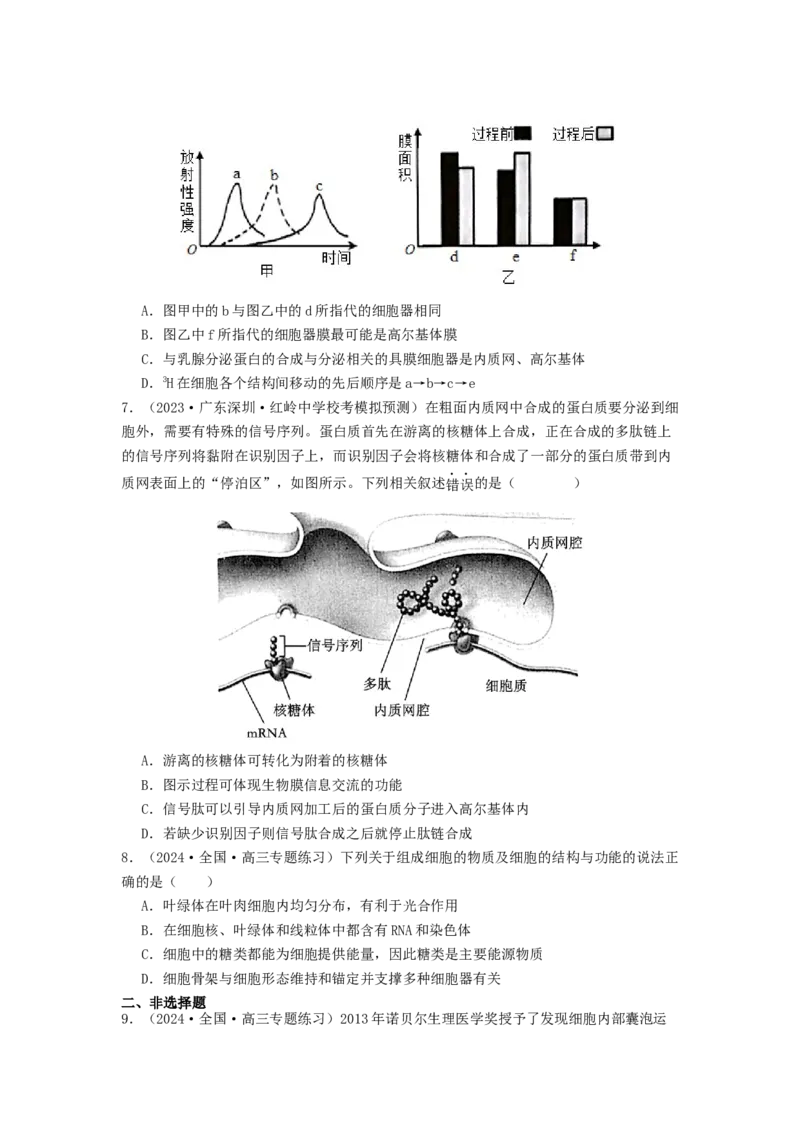 专题06细胞器（原卷版）_2024年新高考资料_1.2024一轮复习_备战2024年高考生物一轮复习抢分特训（全国通用）_专题06细胞器-备战2024年高考生物一轮复习抢分特训（全国通用）