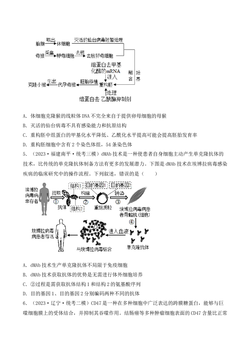 专题17动物细胞工程和胚胎工程（原卷版）_2024年新高考资料_3.2024专项复习_备战2024年高考生物一轮复习重难点突破讲解与训练（新教材）
