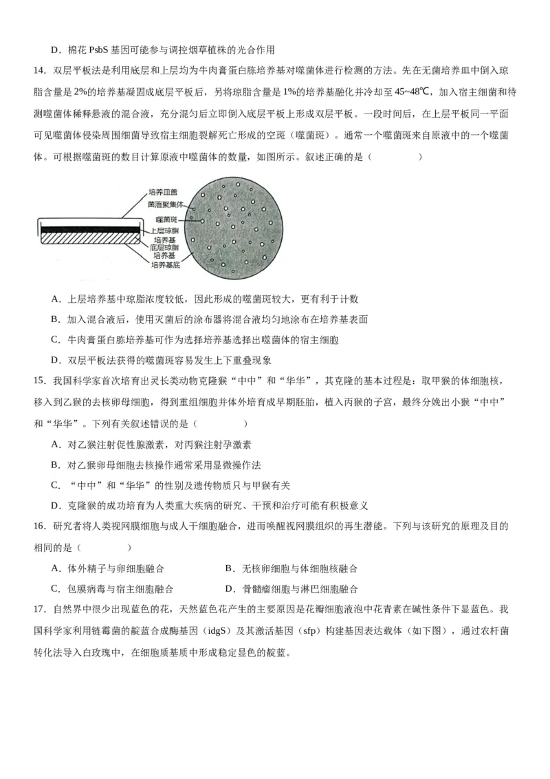 专题五生物技术与工程（选择题特训）-2024年高考生物二轮复习专题训练（全国通用）（原卷版）_2024年新高考资料_2.2024二轮复习_2024年高考生物二轮复习专题训练（全国通用）