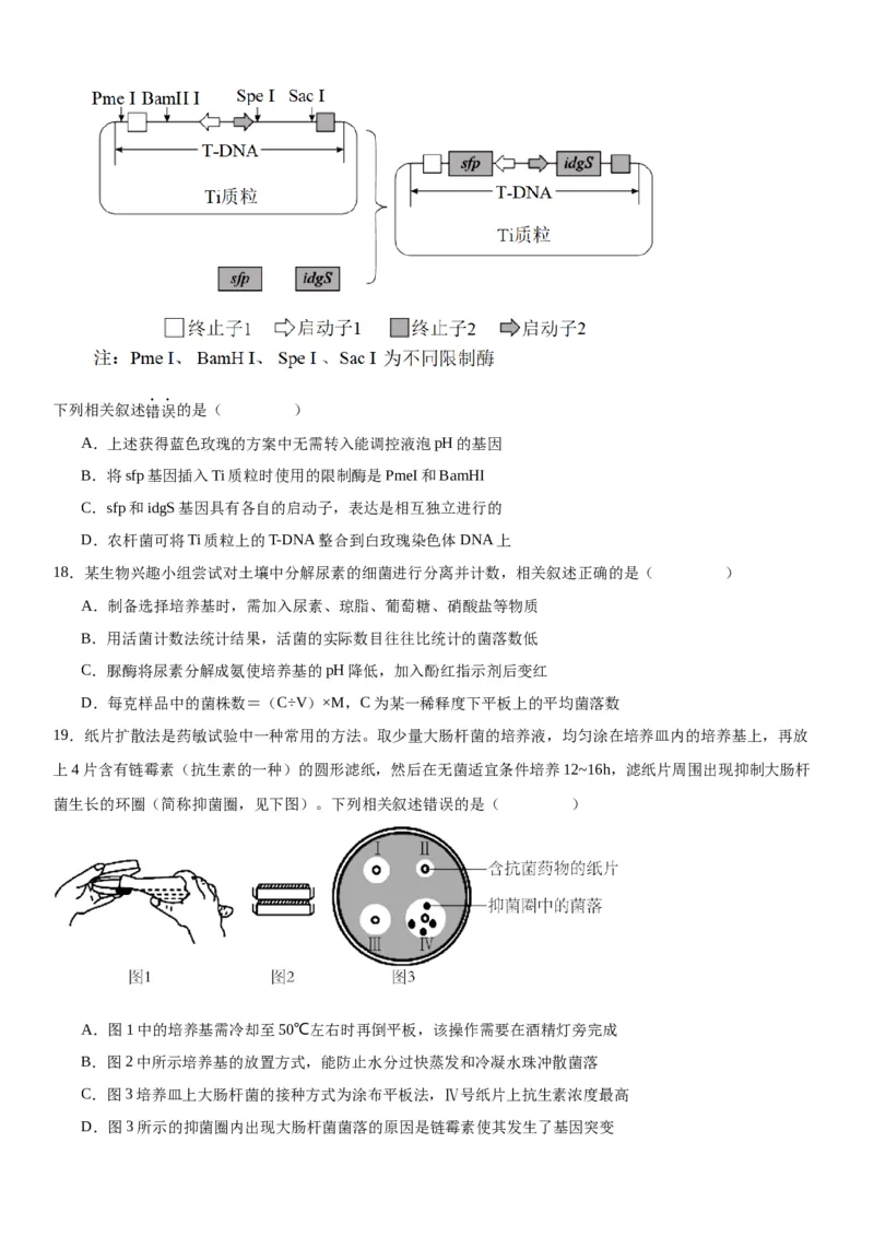 专题五生物技术与工程（选择题特训）-2024年高考生物二轮复习专题训练（全国通用）（原卷版）_2024年新高考资料_2.2024二轮复习_2024年高考生物二轮复习专题训练（全国通用）