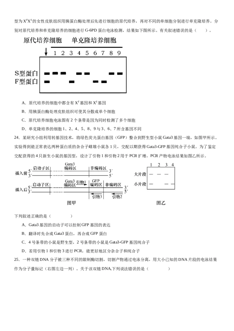 专题五生物技术与工程（选择题特训）-2024年高考生物二轮复习专题训练（全国通用）（原卷版）_2024年新高考资料_2.2024二轮复习_2024年高考生物二轮复习专题训练（全国通用）