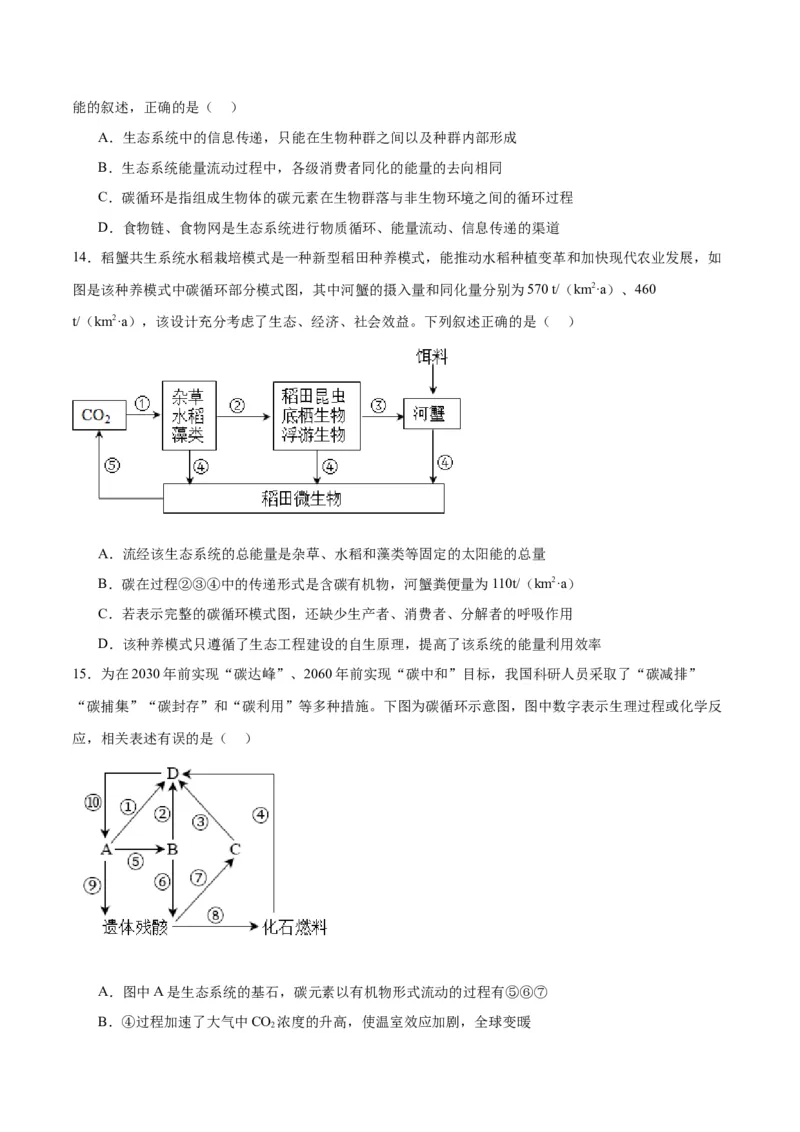 专题36生态系统的功能（原卷版）_2024年新高考资料_3.2024专项复习_备战2024年高考生物一轮复习重难点专项突破_专题36生态系统的功能-备战2024年高考生物一轮复习重难点专项突破