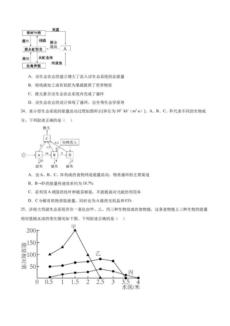 专题36生态系统的功能（原卷版）_2024年新高考资料_3.2024专项复习_备战2024年高考生物一轮复习重难点专项突破_专题36生态系统的功能-备战2024年高考生物一轮复习重难点专项突破