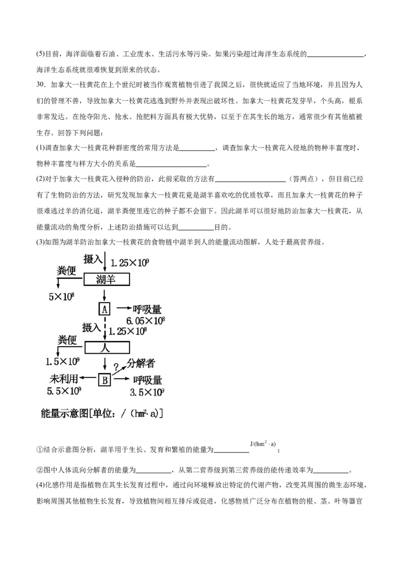 专题36生态系统的功能（原卷版）_2024年新高考资料_3.2024专项复习_备战2024年高考生物一轮复习重难点专项突破_专题36生态系统的功能-备战2024年高考生物一轮复习重难点专项突破