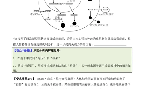 专题08生命活动调节（原卷版）_2024年新高考资料_2.2024二轮复习_2024年高考生物二轮热点题型归纳与变式演练（新高考通用）