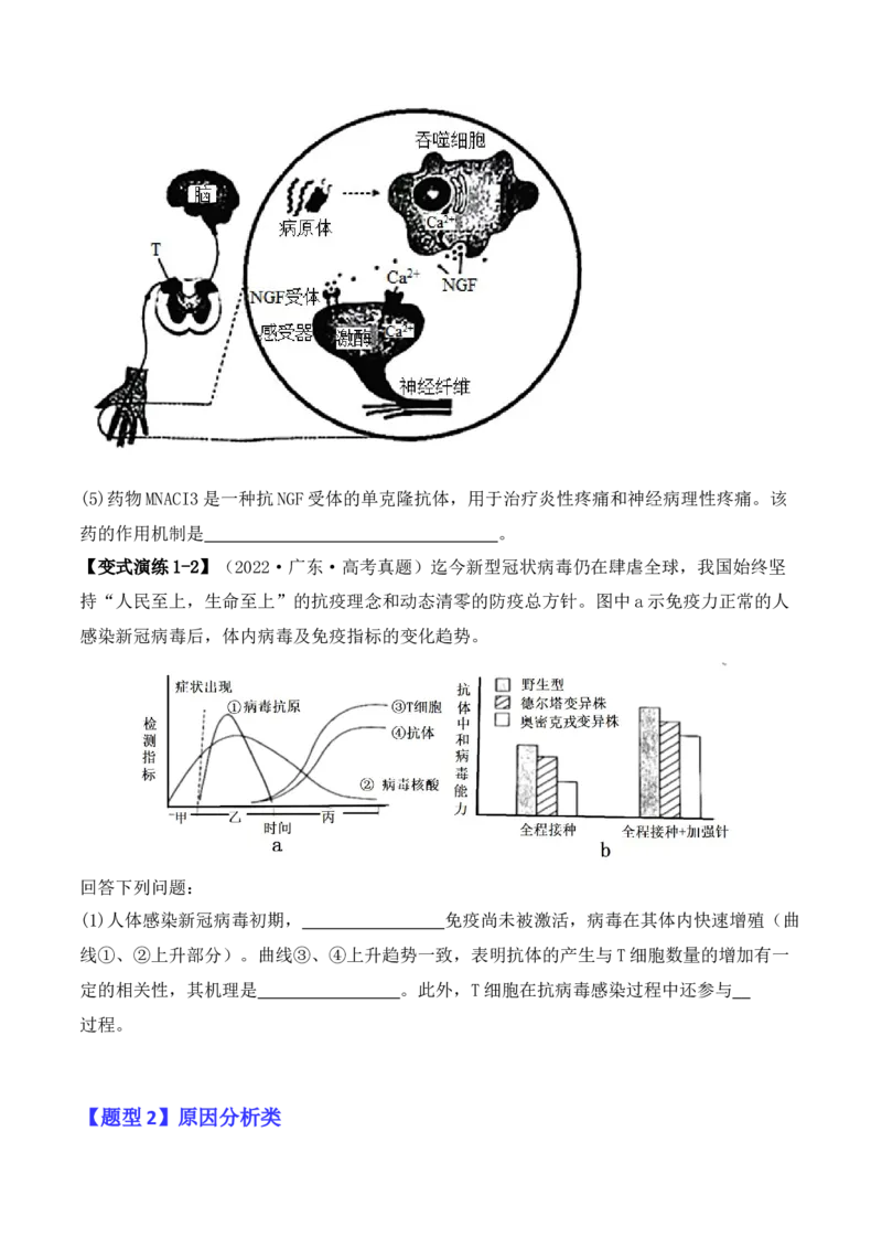 专题08生命活动调节（原卷版）_2024年新高考资料_2.2024二轮复习_2024年高考生物二轮热点题型归纳与变式演练（新高考通用）