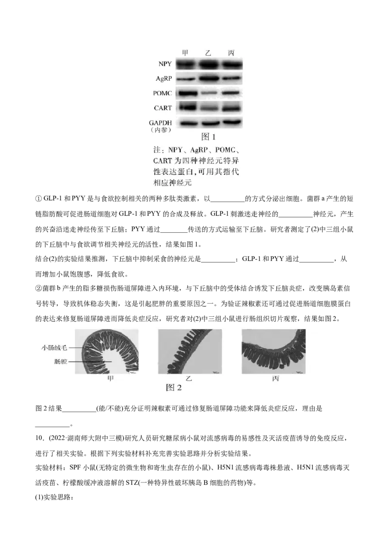 专题15实验与探究-2022年高考真题和模拟题生物分专题训练（学生版）_2024年新高考资料_1.2024一轮复习_赠2022年高考生物真题与模拟题分类