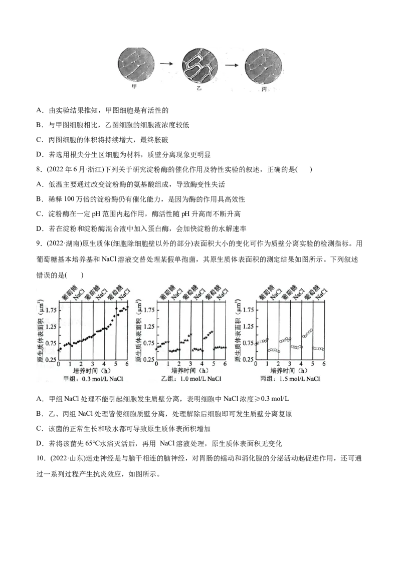 专题15实验与探究-2022年高考真题和模拟题生物分专题训练（学生版）_2024年新高考资料_1.2024一轮复习_赠2022年高考生物真题与模拟题分类