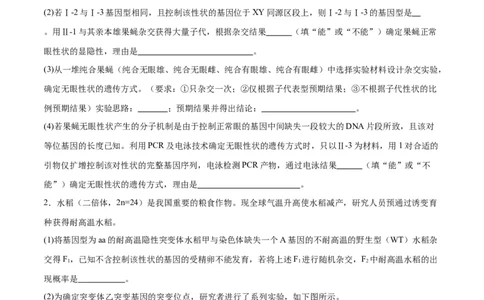 专题19遗传综合实验分析（原卷版)_2024年新高考资料_3.2024专项复习_备战2024年高考生物一轮复习重难点专项突破_专题19遗传综合实验分析