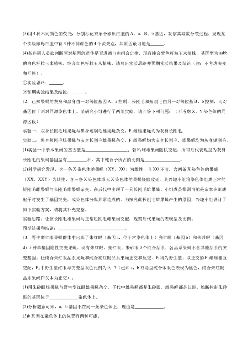 专题19遗传综合实验分析（原卷版)_2024年新高考资料_3.2024专项复习_备战2024年高考生物一轮复习重难点专项突破_专题19遗传综合实验分析
