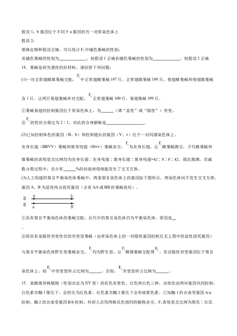 专题19遗传综合实验分析（原卷版)_2024年新高考资料_3.2024专项复习_备战2024年高考生物一轮复习重难点专项突破_专题19遗传综合实验分析