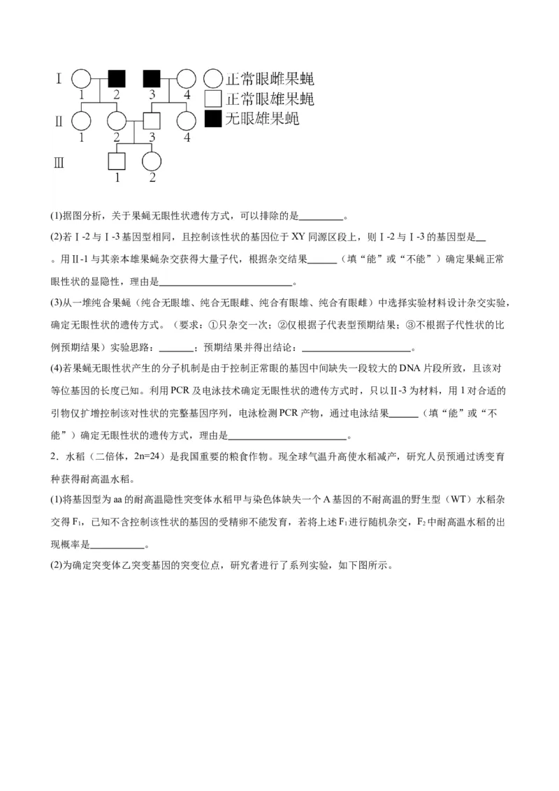 专题19遗传综合实验分析（原卷版)_2024年新高考资料_3.2024专项复习_备战2024年高考生物一轮复习重难点专项突破_专题19遗传综合实验分析