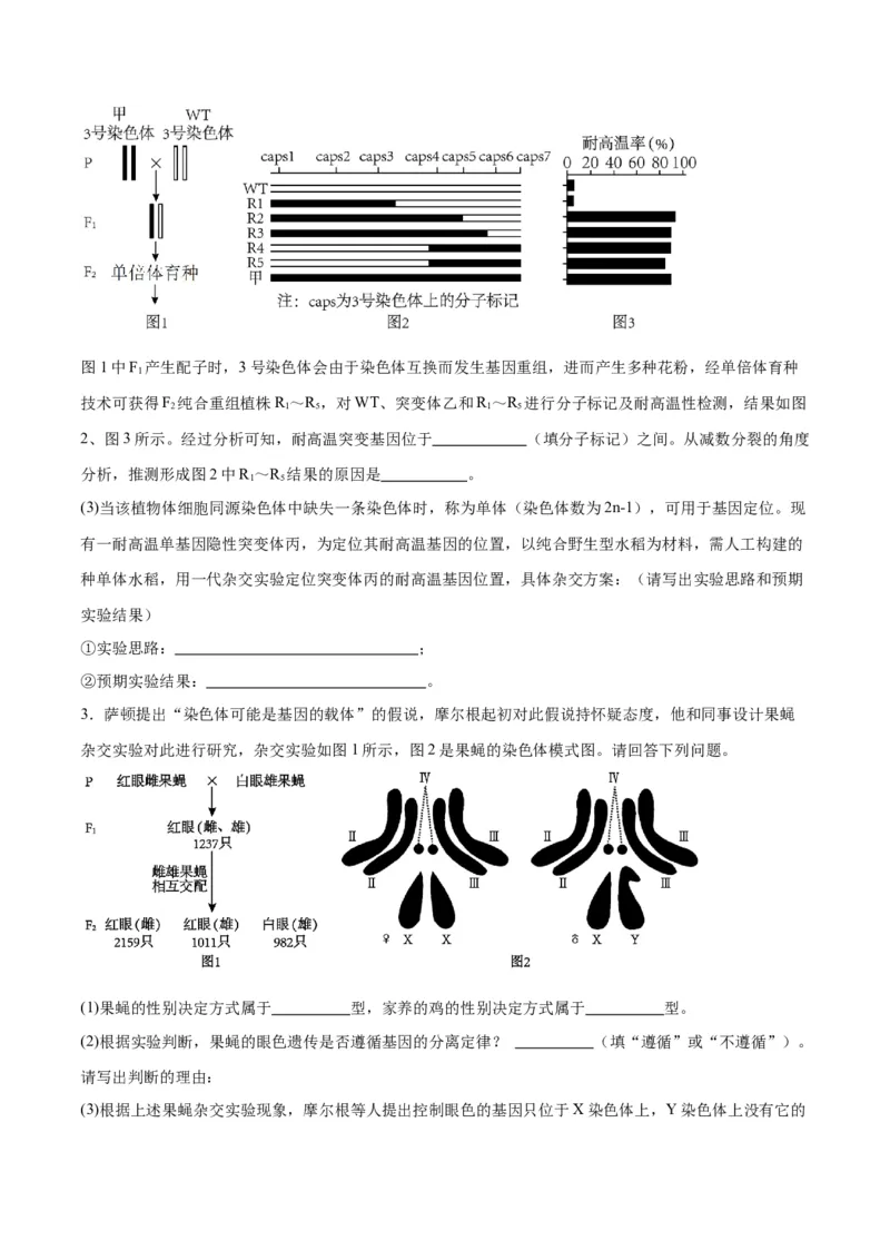 专题19遗传综合实验分析（原卷版)_2024年新高考资料_3.2024专项复习_备战2024年高考生物一轮复习重难点专项突破_专题19遗传综合实验分析