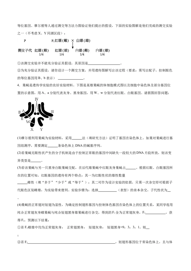 专题19遗传综合实验分析（原卷版)_2024年新高考资料_3.2024专项复习_备战2024年高考生物一轮复习重难点专项突破_专题19遗传综合实验分析