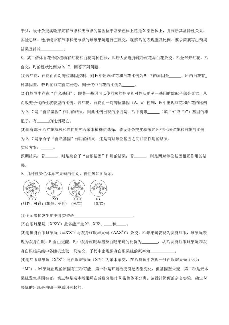 专题19遗传综合实验分析（原卷版)_2024年新高考资料_3.2024专项复习_备战2024年高考生物一轮复习重难点专项突破_专题19遗传综合实验分析