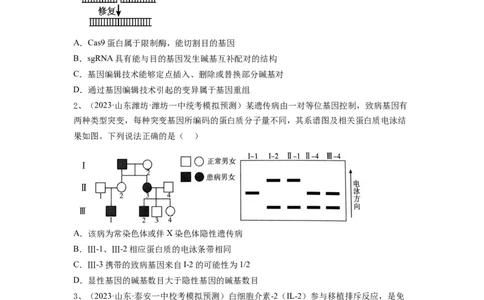 专题32基因工程（精练）（原卷版）_2024年新高考资料_1.2024一轮复习_备战2024年高考生物一轮复习串讲精练（新高考专用）