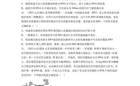 专题32基因工程（精练）（原卷版）_2024年新高考资料_1.2024一轮复习_备战2024年高考生物一轮复习串讲精练（新高考专用）