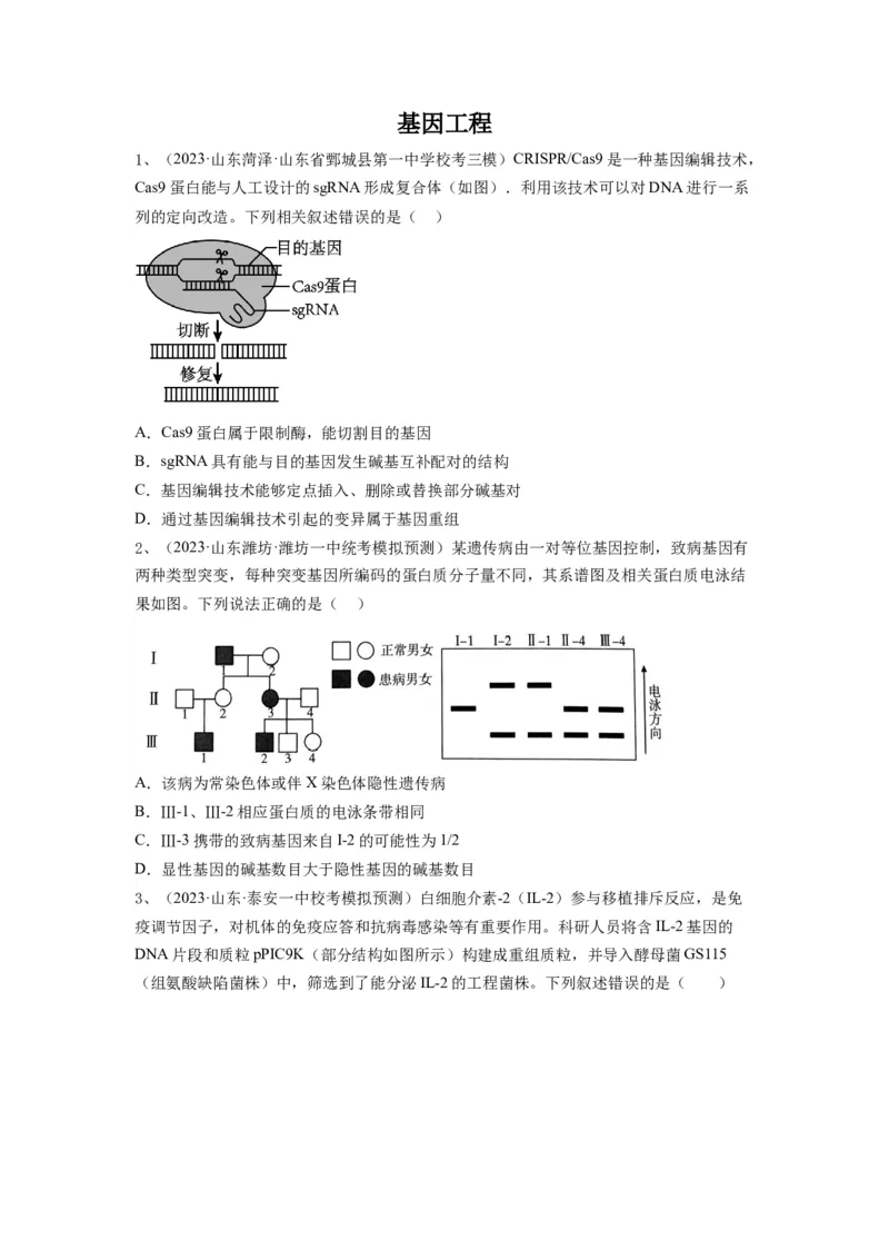 专题32基因工程（精练）（原卷版）_2024年新高考资料_1.2024一轮复习_备战2024年高考生物一轮复习串讲精练（新高考专用）