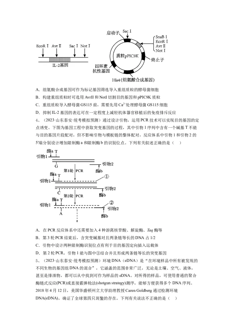 专题32基因工程（精练）（原卷版）_2024年新高考资料_1.2024一轮复习_备战2024年高考生物一轮复习串讲精练（新高考专用）